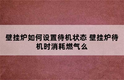 壁挂炉如何设置待机状态 壁挂炉待机时消耗燃气么